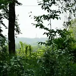 In Near Forest 別荘