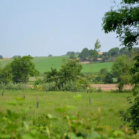 Ferienhaus Cottage In Wierre-Effroy Near Forest
