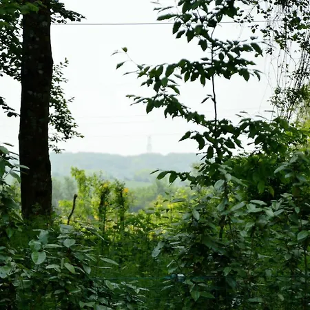 Rural G Te Surrounded By Fruit Trees *